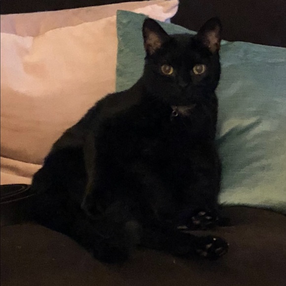 Meet your Posher, Debra - Picture 2 of 3